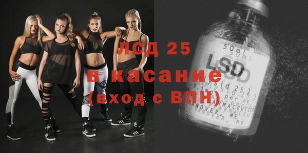 гашик Верея