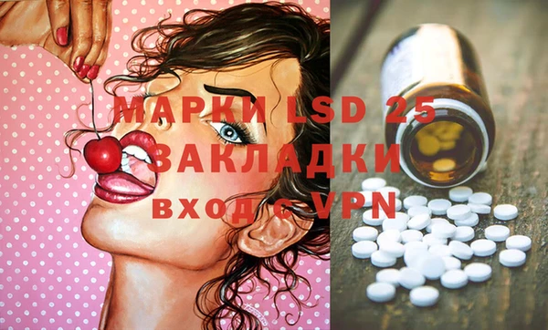 гашик Верея