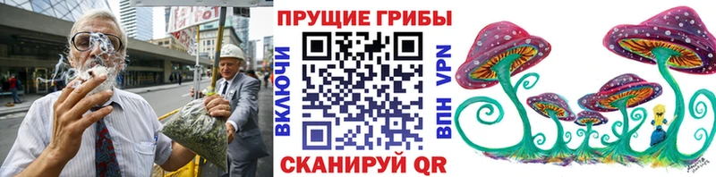 Галлюциногенные грибы Psilocybe Среднеуральск