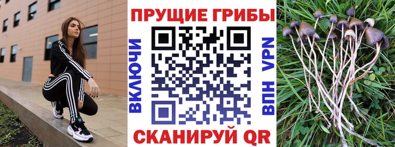 где можно купить   Среднеуральск  гидра вход  Псилоцибиновые грибы мухоморы 