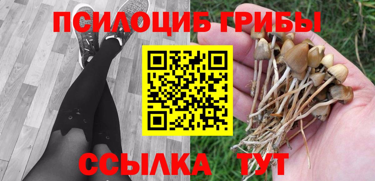Среднеуральск  Псилоцибиновые грибы Cubensis  Вход с VPN 